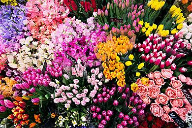 《正当防卫》手游在泰国、新加坡等地展开抢先体验